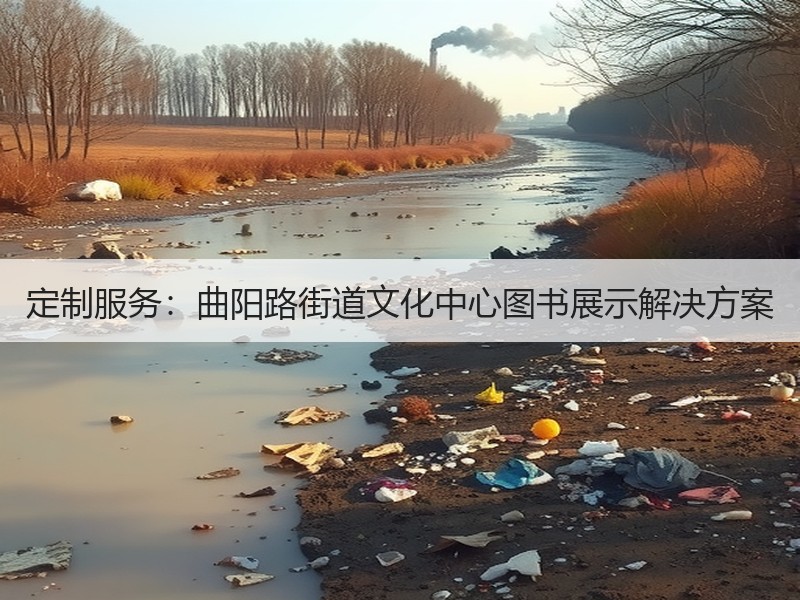 定制服务：曲阳路街道文化中心图书展示解决方案