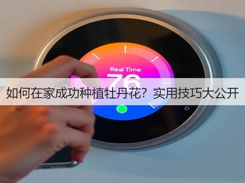 如何在家成功种植牡丹花？实用技巧大公开