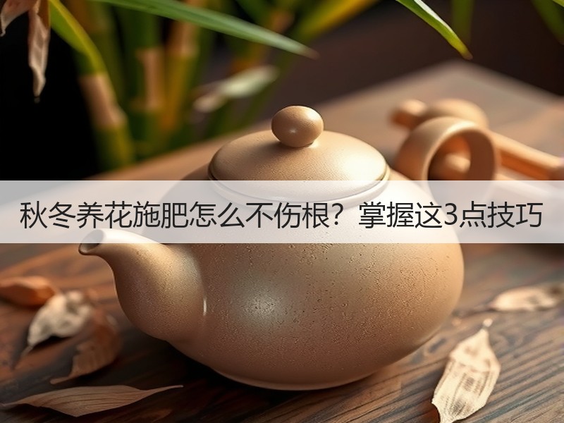 秋冬养花施肥怎么不伤根？掌握这3点技巧