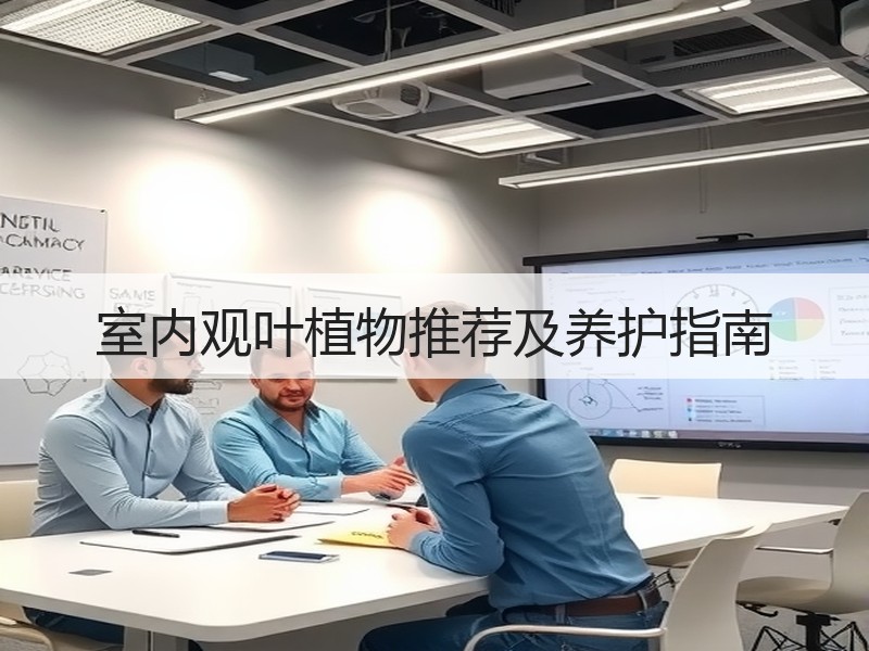 室内观叶植物推荐及养护指南