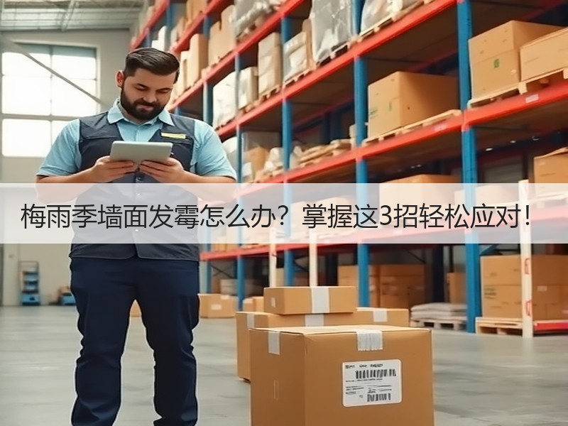梅雨季墙面发霉怎么办？掌握这3招轻松应对！