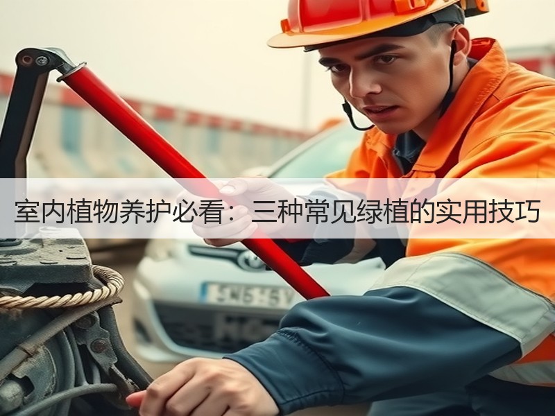 室内植物养护必看：三种常见绿植的实用技巧