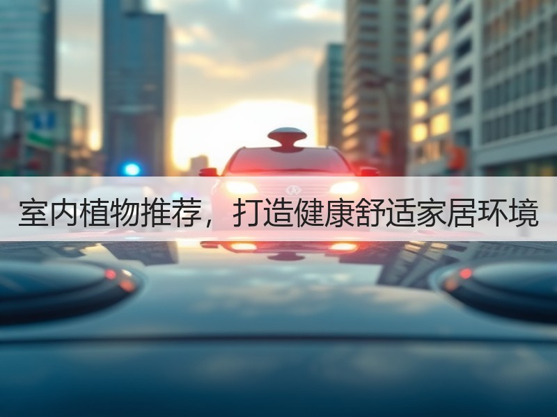 室内植物推荐，打造健康舒适家居环境